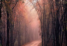 宫颈检查挂号，宫颈检查挂号挂哪个科